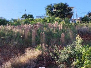 TERRENO NO VALE DOS PINHEIROS