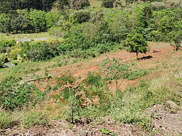 Terreno - Venda - Fragosos - Concórdia - SC