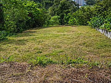 TERRENO - SANTA CRUZ