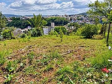 Terreno - Venda - Guilherme Reich - Concórdia - SC
