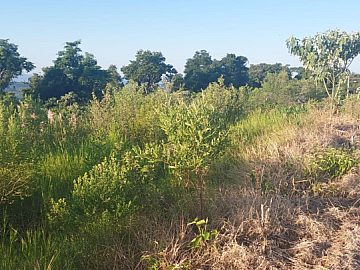 TERRENO - S�O CRISTOV�O II